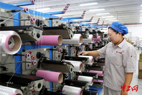 連云港外貿(mào)企業(yè)“雙輪驅(qū)動(dòng)” 搶訂單與強(qiáng)技術(shù)并行，開(kāi)拓出海新航道